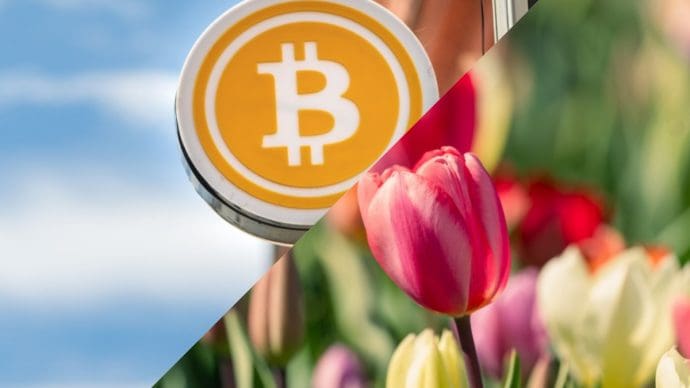 Analista compara a BTC con la fiebre de los tulipanes: “Es distinto”
