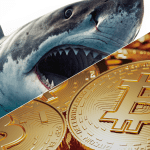 Los “sharks” de Bitcoin compran en masa: ritmo más rápido en 13 años