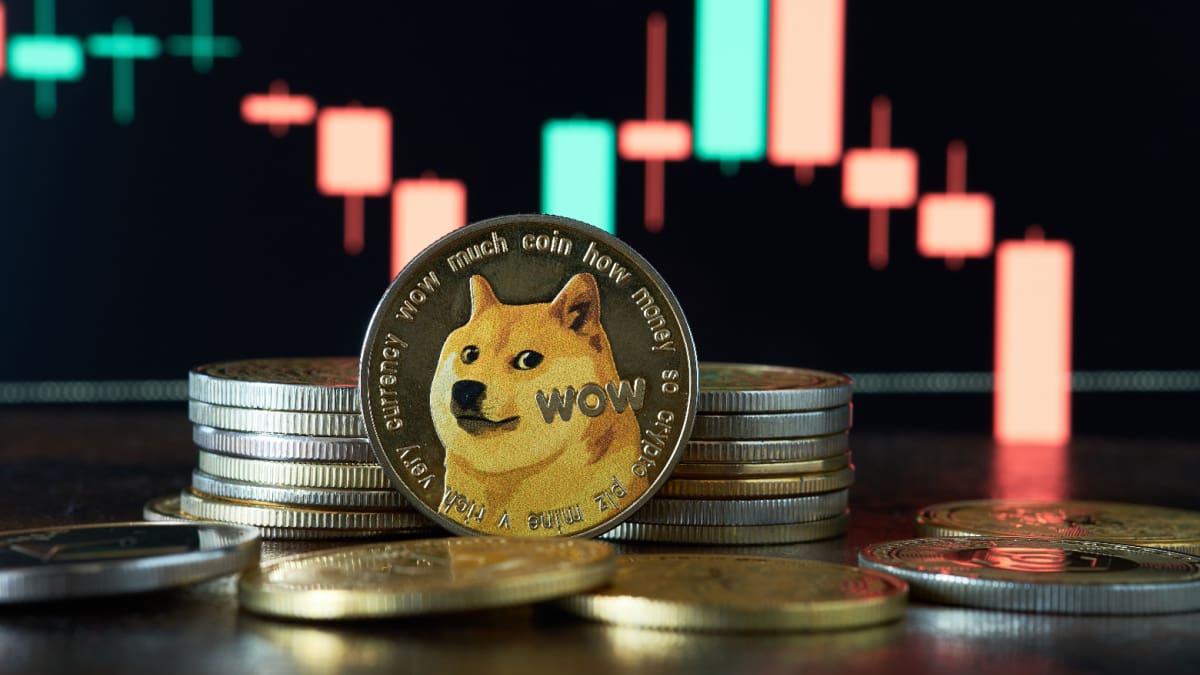 Dogecoin muestra cifras dolorosas mientras otras crypto baten récords
