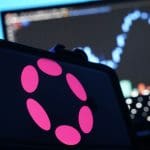 Polkadot destaca: por qué sube mientras el resto se frena